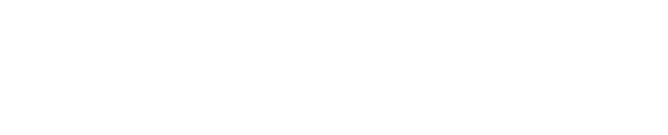 VMLogo
