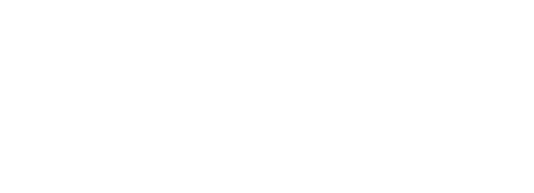 WO1-experience-db-logo-1075x390-1